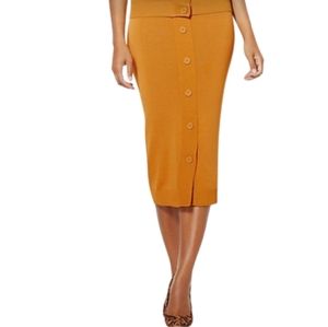 New York and Company Skirt